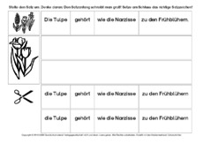 Tulpe-Sätze-umstellen-2.pdf